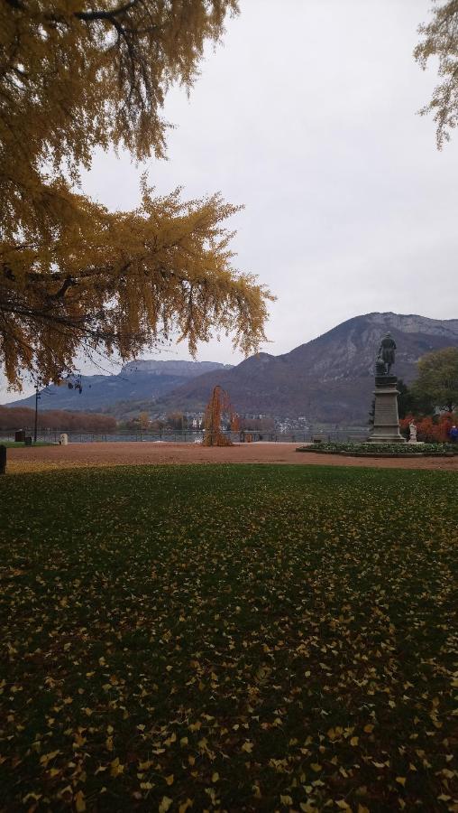Residence Albigny Studio Vue Sur Lac Centre-Ville D'Annecy Kültér fotó