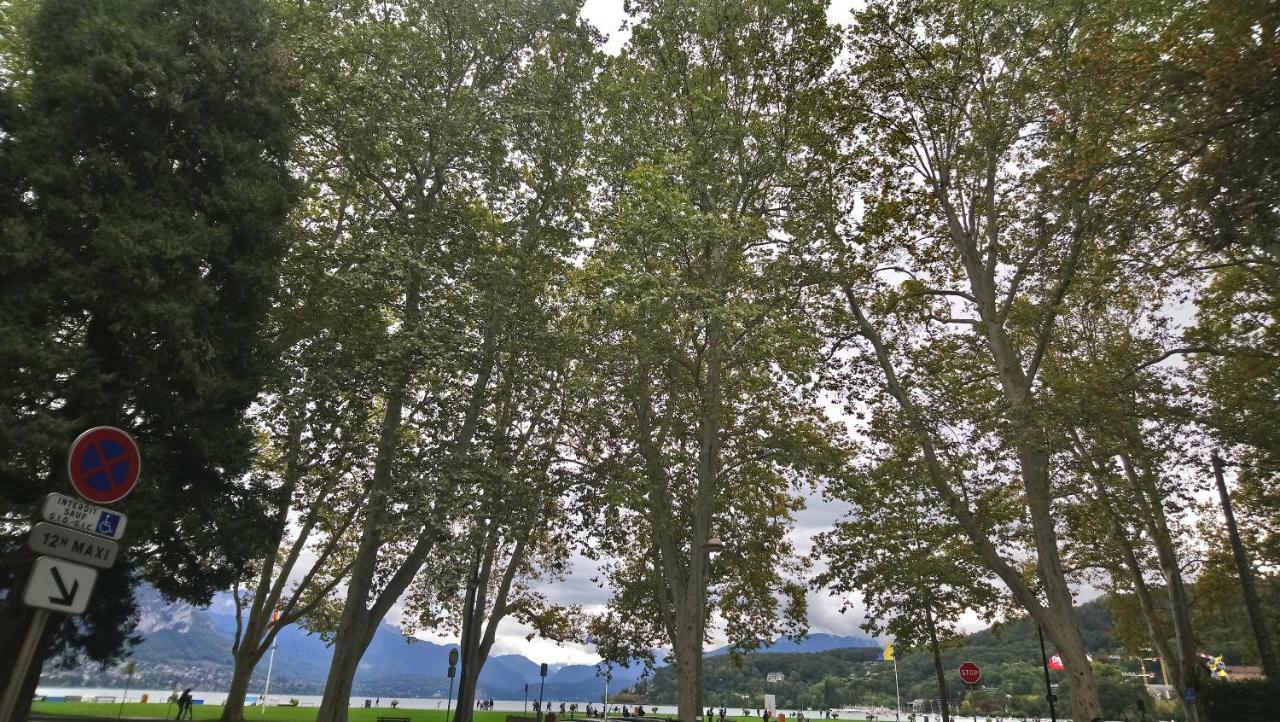 Residence Albigny Studio Vue Sur Lac Centre-Ville D'Annecy Kültér fotó